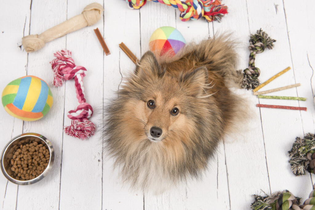Rodi nv dierenspeeltjes hondenspeeltjes
