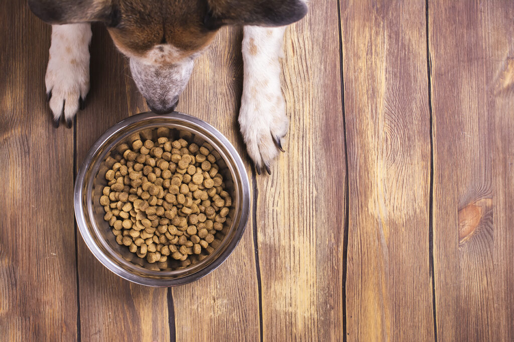 Rodi nv dierenvoeding hondenvoeding